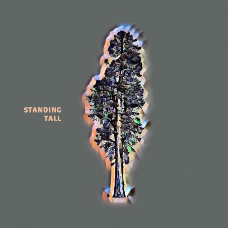 Standing Tall | Boomplay Music