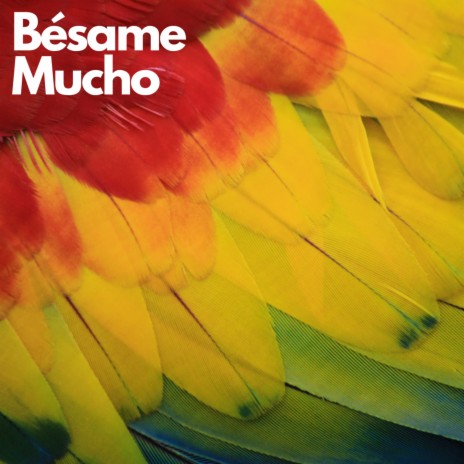 Besame Mucho ft. Yuri Storione, Peter Primus Frosch & Matteo Burci | Boomplay Music