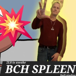 Bch spleen