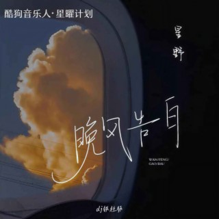 晚风告白 (DJ铁柱版) lyrics | Boomplay Music