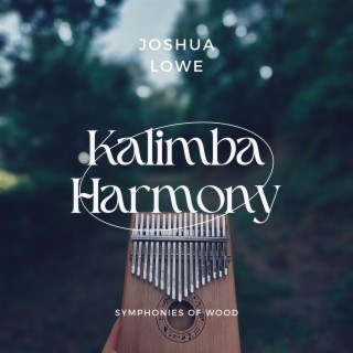 Kalimba Harmony: Symphonies of Wood