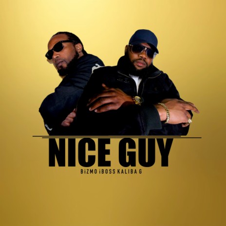 Nice Guy | Boomplay Music