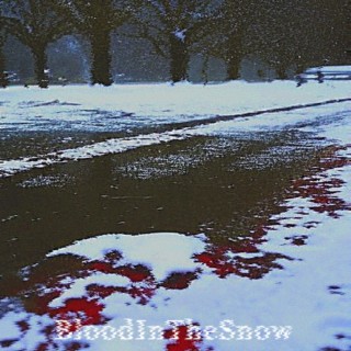 BloodInTheSnow