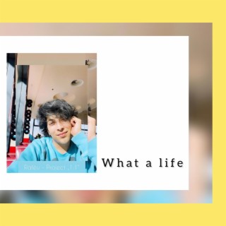 What a life lyrics | Boomplay Music