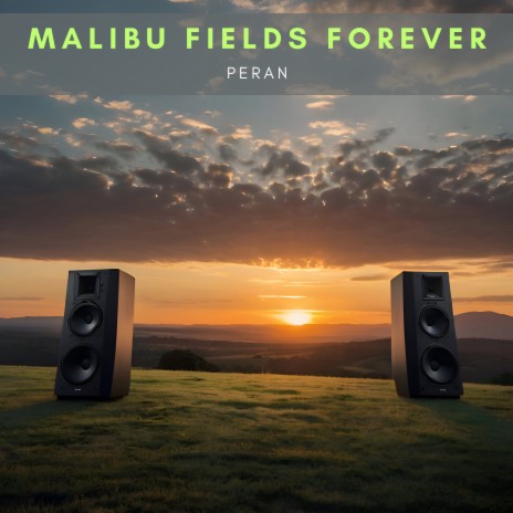 Malibu Fields Forever | Boomplay Music