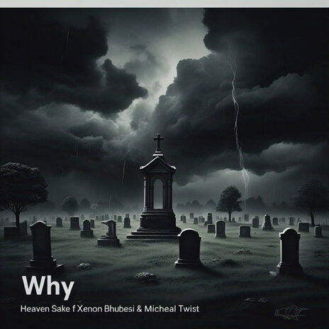 Why | Boomplay Music