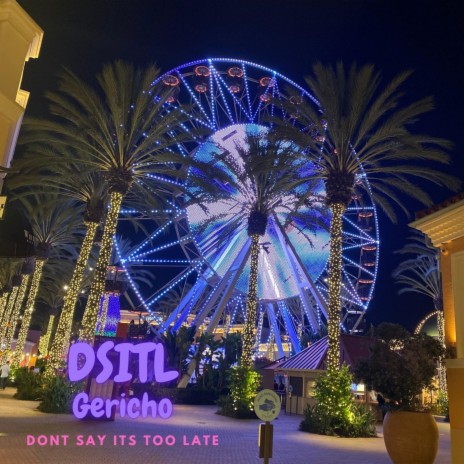 DSITL (Acoustic) | Boomplay Music