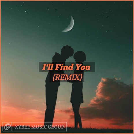 I'll Find You (Remix) | Boomplay Music