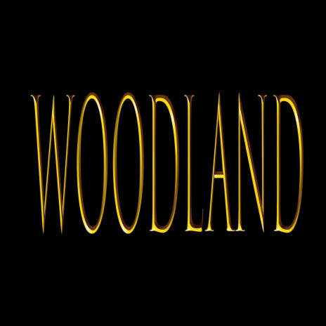 Woodland | Boomplay Music