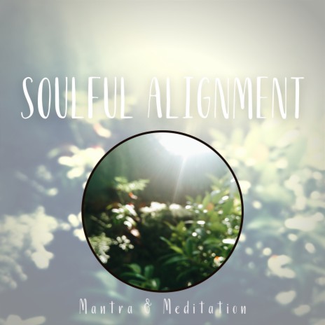 Soulful Alignment