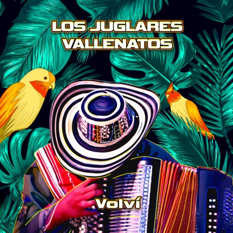 Voló El Pajarito | Boomplay Music