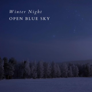 Winter Night