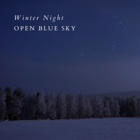 Winter Night | Boomplay Music