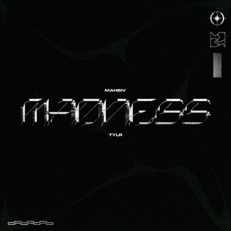 Madness ft. TYLR | Boomplay Music