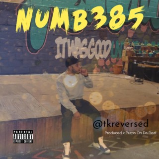 NUMB385 lyrics | Boomplay Music