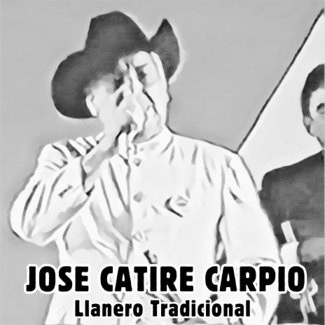 Llanero Tradicional | Boomplay Music