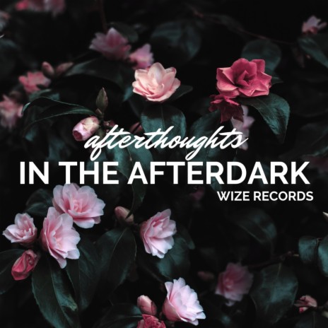 Afterthoughts in the Afterdark | Boomplay Music