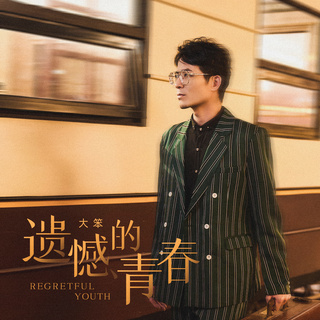 遗憾的青春 (伴奏) lyrics | Boomplay Music