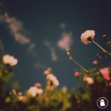 all the flowers | Boomplay Music