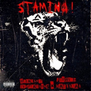 STAMINA! (feat. Maliikai & FLOWERZ)