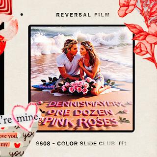 One Dozen Pink Roses lyrics | Boomplay Music