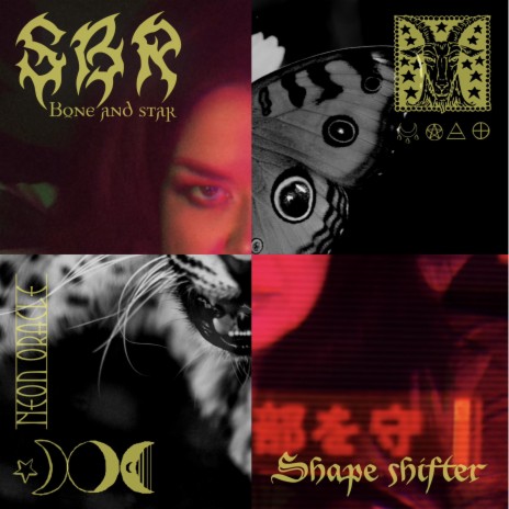 Shape shifter | Boomplay Music