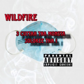 Wildfire