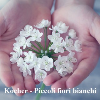 Piccoli fiori bianchi