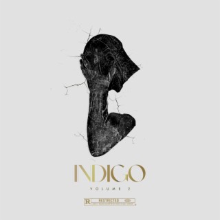 Indigo, Vol. 2