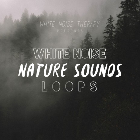 White Noise Beach Sounds (No Fade) | Boomplay Music