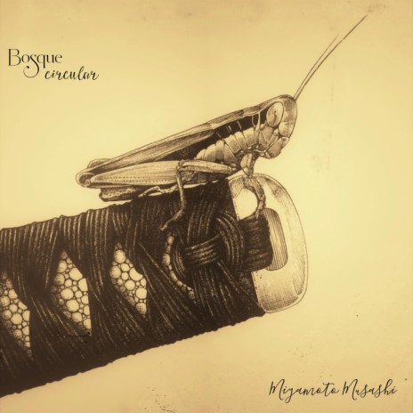 Miyamoto Musashi | Boomplay Music