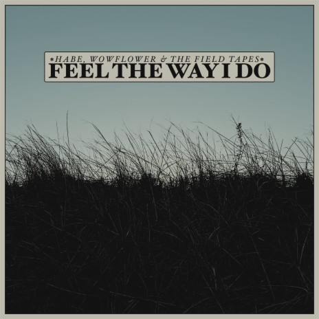 Feel The Way I Do ft. wowflower & The Field Tapes | Boomplay Music