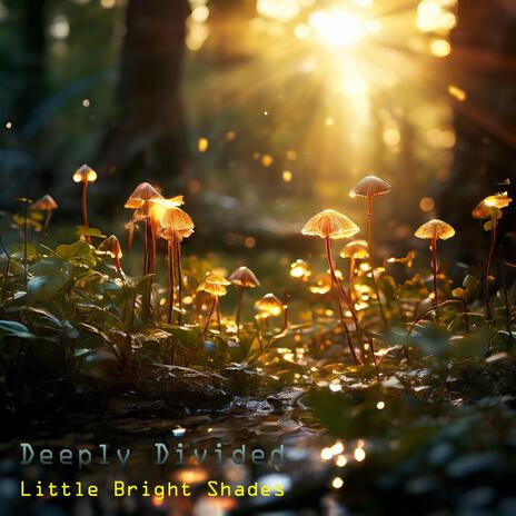 Little Bright Shades (Luli)