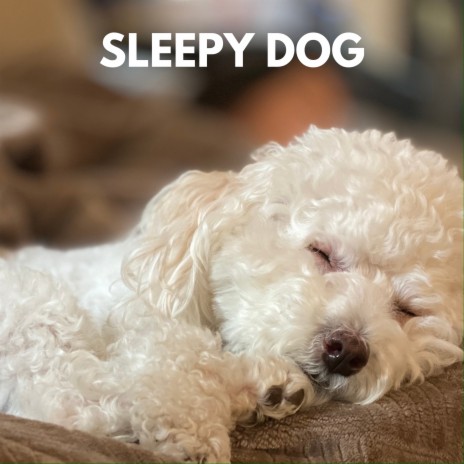 Sleepy Dog ft. Relax My Dog Music & Dog Music | Boomplay Music