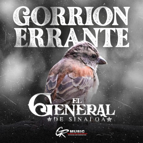 Gorrión Errante (En Vivo) ft. Los Juniors de La Montaña | Boomplay Music