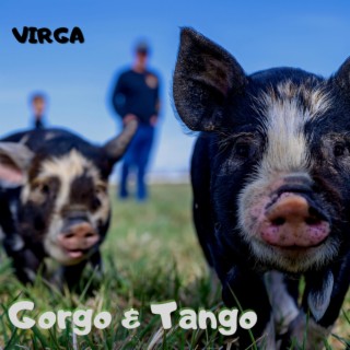 Gorgo & Tango