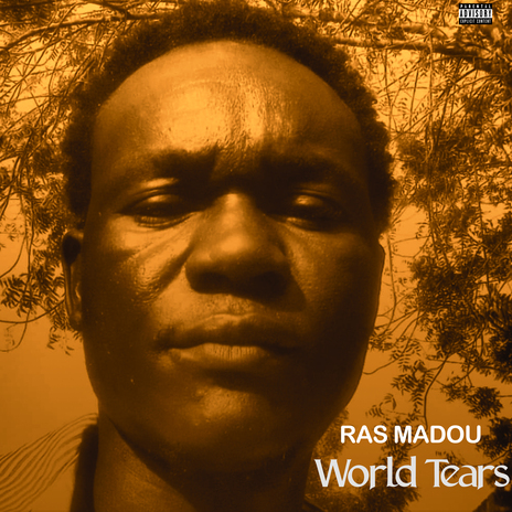 World tears | Boomplay Music