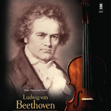 Beethoven Violin Hardstyle Concerto | Boomplay Music