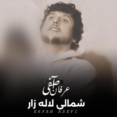 SHAMALI | Boomplay Music