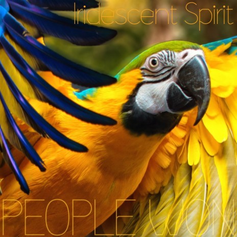 Iridescent Spirit | Boomplay Music