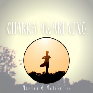 Chakra Awakening: Harmonizing Energy Flow