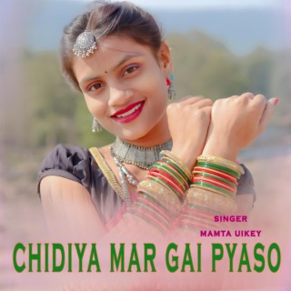 CHIDIYA MAR GAI PYASO