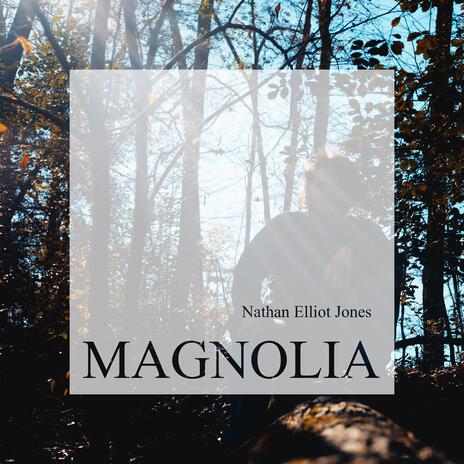 Magnolia | Boomplay Music