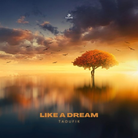 Like A Dream | Boomplay Music