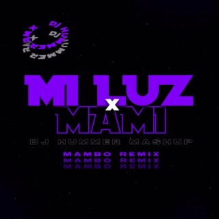 Mi Luz x Mami (Mashup) lyrics | Boomplay Music