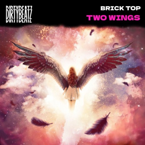 Two wings | Boomplay Music