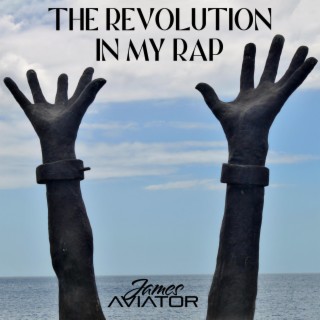 The Revolution In My Rap