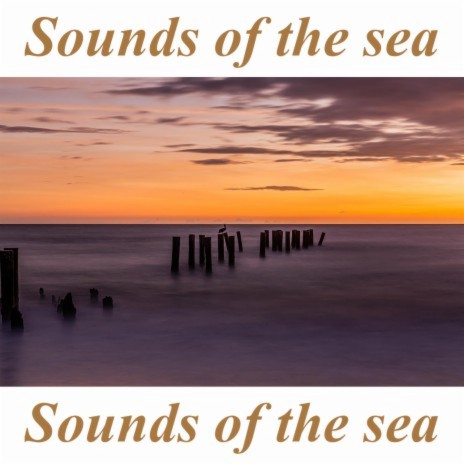 Sounds of the sea three | Boomplay Music