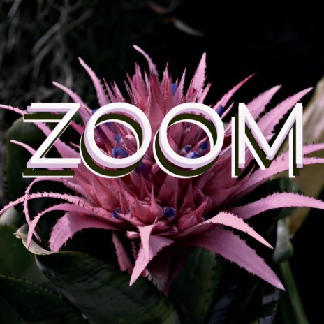 Zoom ft. Rythmatical | Boomplay Music