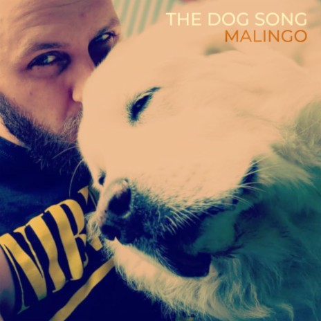 The Dog Song | Boomplay Music